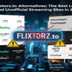 Flixtorz.to Alternatives: The Best Legal and Unofficial Streaming Sites in 2025